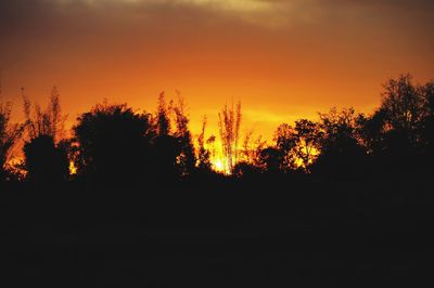 Silhouette trees against sky during sunset