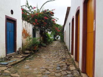 Footpath amidst buildings