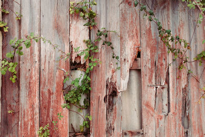 Close-up of damaged wooden fence