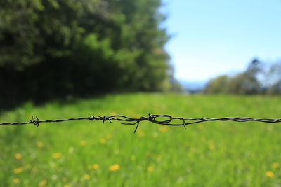 Barbed wire fence on field