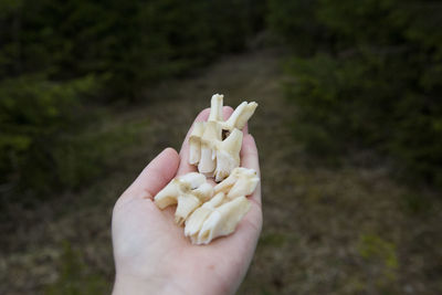 Close-up of hand holding ice cream