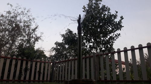 Low angle view of fence by trees against sky