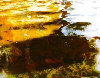 View of rocks in water