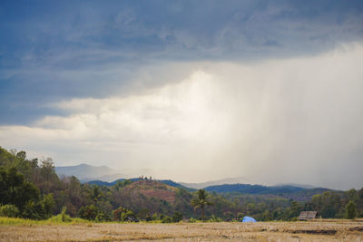 Scenic view of field against sky