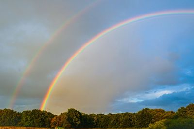 Rainbow over trees