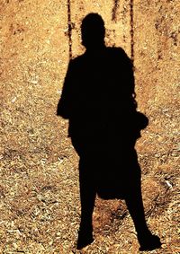 Silhouette person on shadow of man