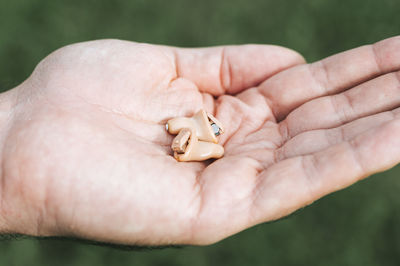 Close-up of person holding hands