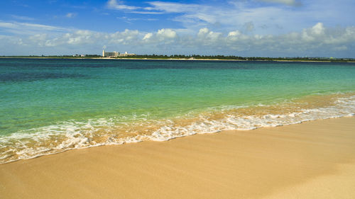 Beautiful coral reef sea in okinawa