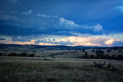 Scenic view of field against sky during sunset