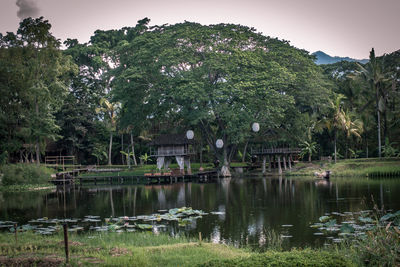 Reflection of trees in lake