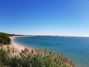 Scenic view of sea against clear blue sky