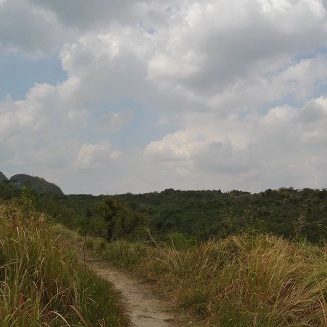 sky, grass, tranquil scene, tranquility, landscape, cloud - sky, scenics, field, nature, beauty in nature, cloud, cloudy, plant, grassy, growth, non-urban scene, day, remote, outdoors, idyllic