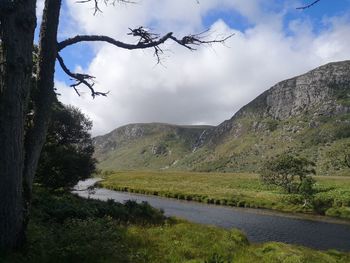 nature