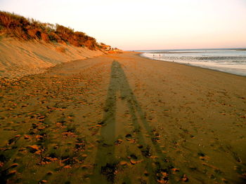 Shadow of people at sandy beach
