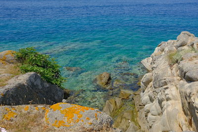 Scenic view of sea shore