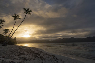 Sunset on a palm beach