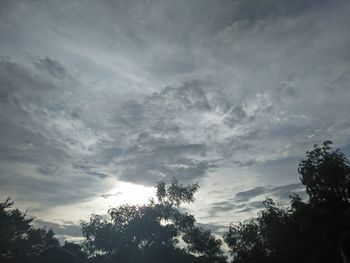 Low angle view of silhouette trees against sky