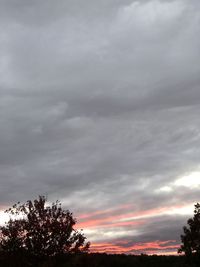 Low angle view of silhouette trees against sky during sunset