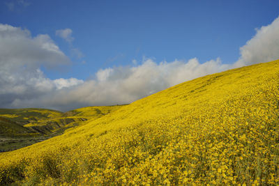 Scenic view of yellow mountains against sky