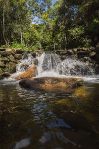 Scenic view of waterfall in forest