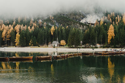 Scenic view of lake by trees