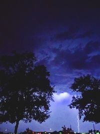 Low angle view of silhouette trees against sky at night