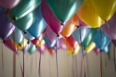 Close-up of multi colored balloons