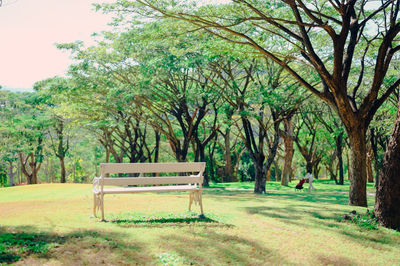 Empty bench in park