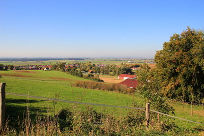 Scenic view of agricultural field against clear sky