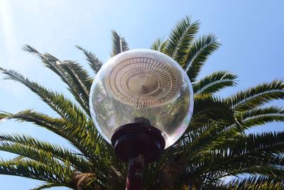 Low angle view of palm tree against sky