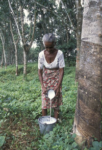 Woman pouring rubber sap from bowl in bucket at forest