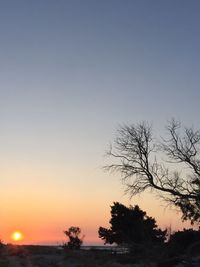 Silhouette trees against clear sky during sunset