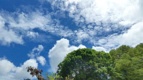 Low angle view of trees against cloudy sky