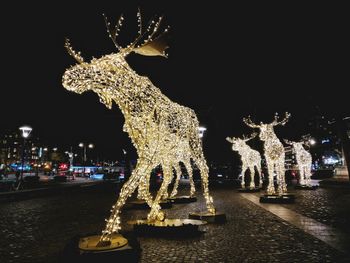 Illuminated christmas tree at night