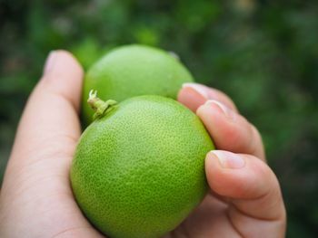 Close up of green lime in woman hand