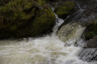 Stream flowing through rocks in forest