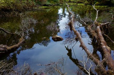 High angle view of a lake