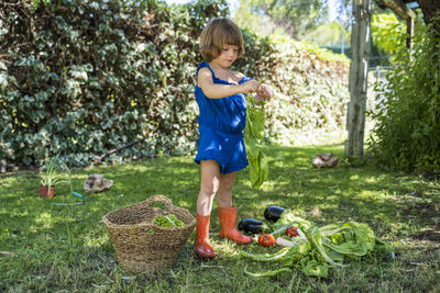 Full length of girl standing by basket in park