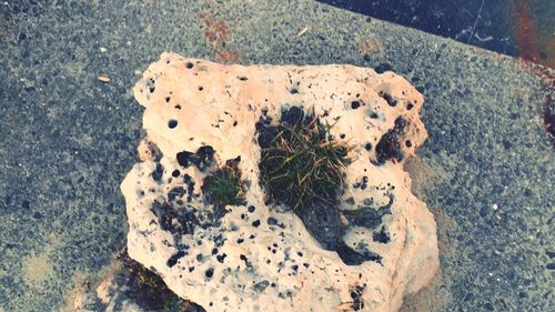 High angle view of snow on rock