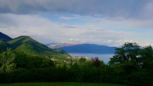 Scenic view of trees and mountains against sky