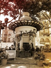 Potted plants in building