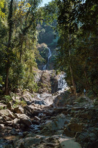 Stream flowing through rocks in forest