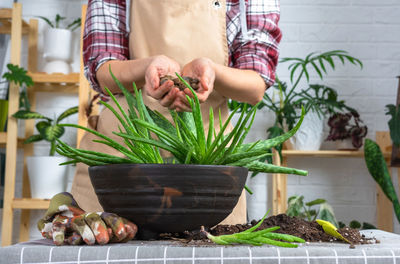 Midsection of woman holding potted plant