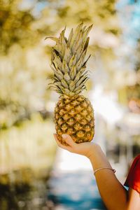 Cropped hand of woman holding pineapple