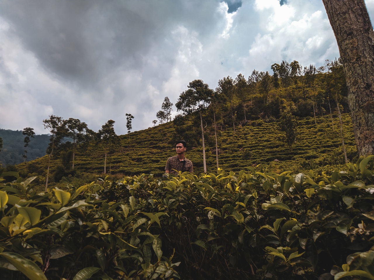 WOMAN STANDING AMIDST PLANTS AGAINST SKY