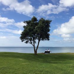 Tree on field by sea against sky