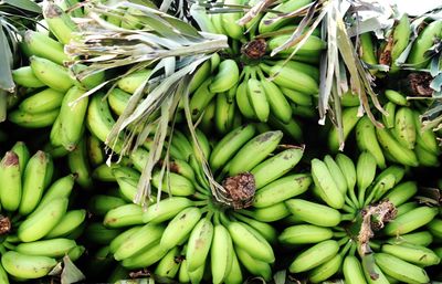 Full frame shot of fruits for sale at market stall