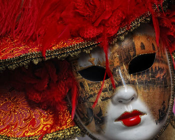 Close-up of feather mask