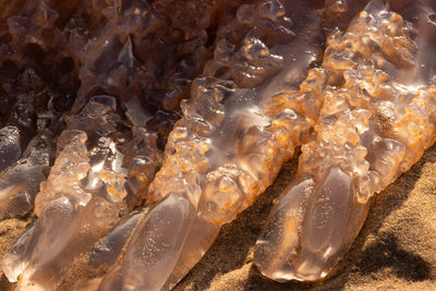 High angle view of a water