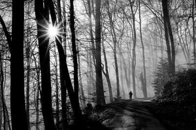 Road amidst bare trees in forest